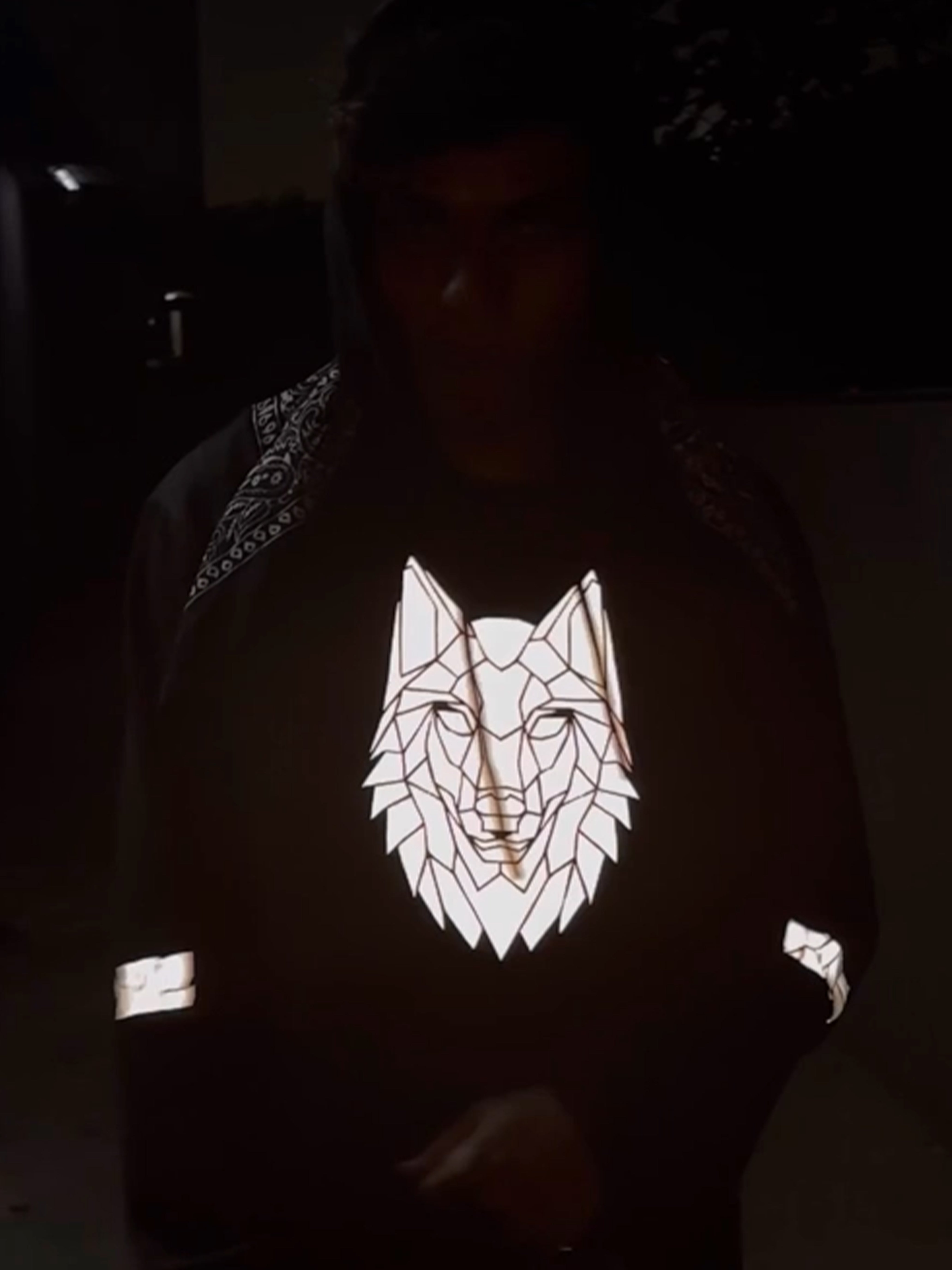 Wolf Reflective Hoodie